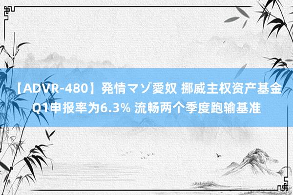 【ADVR-480】発情マゾ愛奴 挪威主权资产基金Q1申报率为6.3% 流畅两个季度跑输基准