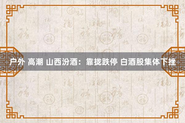 户外 高潮 山西汾酒：靠拢跌停 白酒股集体下挫