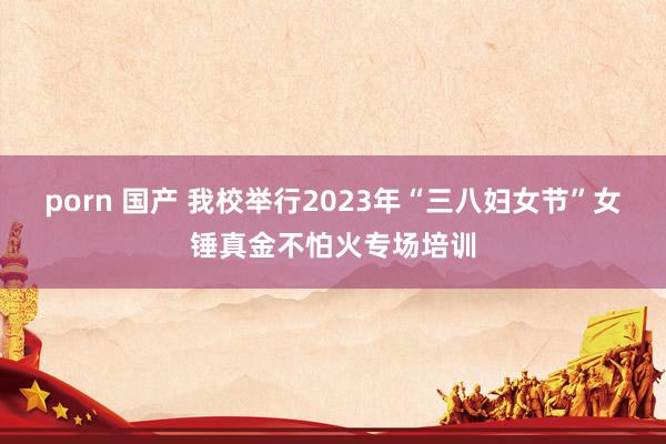 porn 国产 我校举行2023年“三八妇女节”女锤真金不怕火专场培训