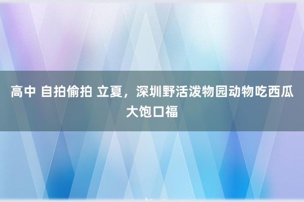 高中 自拍偷拍 立夏，深圳野活泼物园动物吃西瓜大饱口福