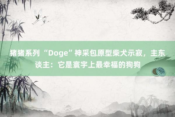 猪猪系列 “Doge”神采包原型柴犬示寂，主东谈主：它是寰宇上最幸福的狗狗